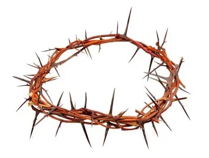 Crown Of Thorns Png - Clip Art Library