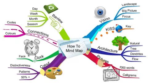 mind mapping - Wayne Barry