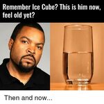 Ice Cube Meme Damn - Фото база