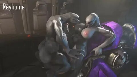 Halo (game) Sangheili Abs 3d - Lewd.ninja