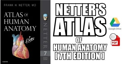 Netter's Atlas of Human Anatomy 7th Edition PDF Free Downloa