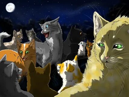 A Night Of Listening by Spirit-Of-Alaska Warrior cats, Warri