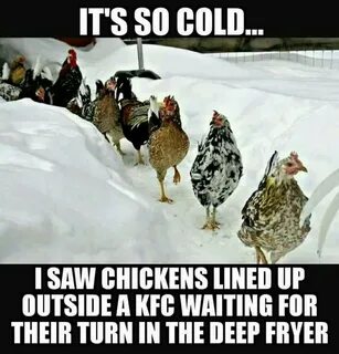 It's so cold, I saw chickens outside a KFC waiting for their