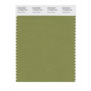 Pantone 17-0535 TCX Swatch Card Green Olive Buy in india