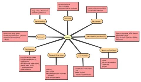 Obesity Concept Map Abdominal hernia, Concept map, Obesity