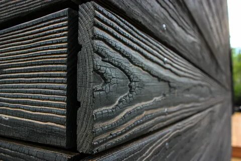 Shou sugi ban raised beds