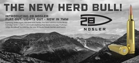 23 Nosler Related Keywords & Suggestions - 23 Nosler Long Ta