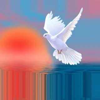 Flying white dove at colofrul background free image download