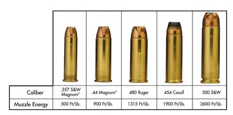 460 Rowland Auto Ammo 10 Images - Promag Archangel 556 Conve