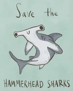 KYE CHENG Hammerhead shark, Shark illustration, Shark art