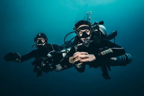 Dive Show Terms and Conditions - Original Diving Blog