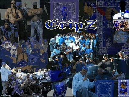 Gang Wallpaper Crip / 65+ Crip Gang Wallpapers on WallpaperP