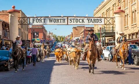 Fort Worth Herd Cattle Drive Fort Worth Stockyards Flickr