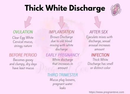 Discharge After Ovulation If Pregnant / Can You Detect Early