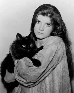 File:Katharine Ross 1967 photo with cat.jpg - Wikimedia Comm