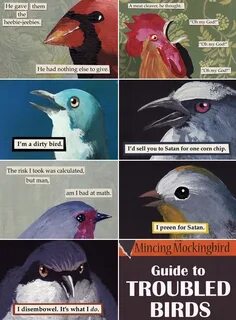 The Mincing Mockingbird Guide To Troubled Birds Funny birds,