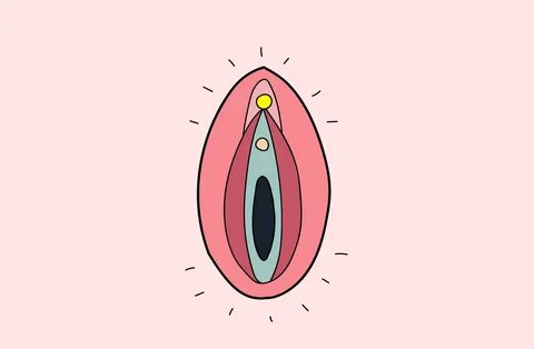 Kitzler ansehen Klitoris