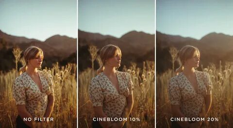 Moment Unveils CineBloom Diffusion Filters for 'Dreamy, Film