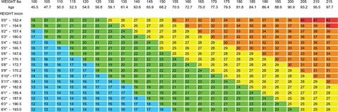 Calculate Your BMI, Body Mass Index Calculator NGPG
