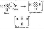 Expert Answer electron dot structure of hydronium ion - Brai