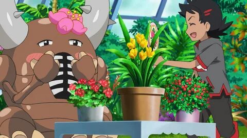 Bulbapedia:Project Anime. 