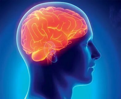 10 ПОЛЕЗНЫХ СОВЕТОВ ДЛЯ ЗДОРОВЬЯ МОЗГА Brain health, Deep br