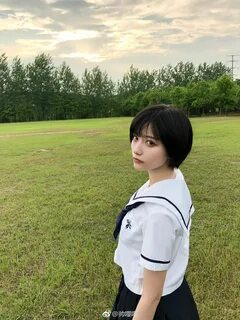Japanese girl shorthair