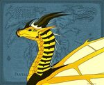 Queen Wasp1 by ChrispyCookie Wings of fire dragons, Wings of