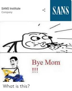 SANS SANS Institute Company Bye Mom !!! What Is This? What I