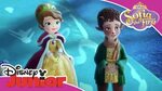 Sofia the First - Winter the Faun Official Disney Junior Afr