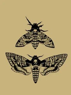 Antique Deaths Head Hawk Moth Pointillism Sticker by Kaleigh