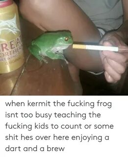 REA ORTHE REWING When Kermit the Fucking Frog Isnt Too Busy 