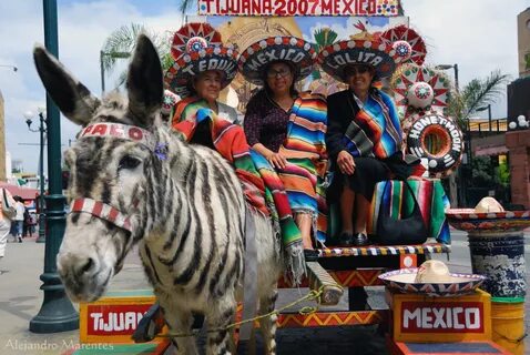 ZEBRA STRIPES, PINSTRIPES, AND EXTREME DONKEYS. Martin Mor