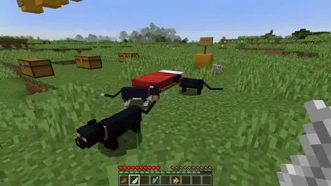Как в Minecraft приручить кошку и чем она отличается от оцел