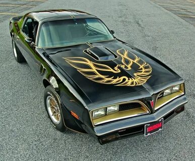 Pontiac Trans Am The Meanest Bird In The Flock - All World W
