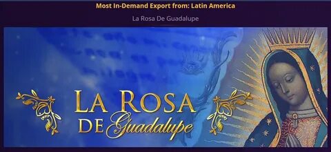 La Rosa De Guadalupe Pictures - Porn photos for free, Watch 