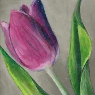 Tulip Flower Original