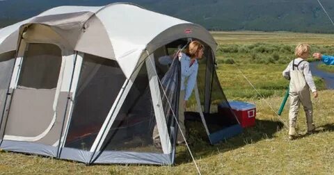 hasat Narabar karartmak camping hobby amazon Korkusuz dizgin