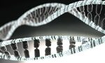 46+ DNA Double Helix Wallpaper on WallpaperSafari