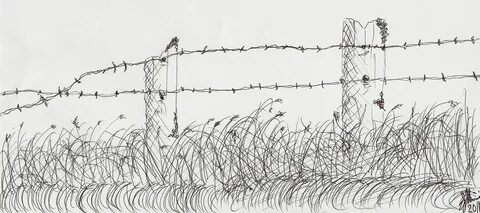 Barb Wire Fence Manningart - Barbed Wire Sketch Wire fence, 