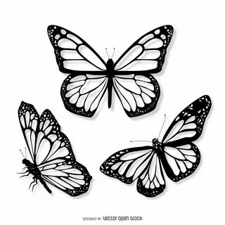 Эскизы бабочек для тату (70 фото) 