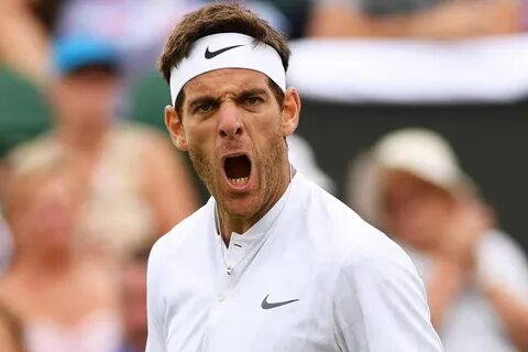 Wimbledon 2017: Juan Martin Del Potro sees off Australian Th