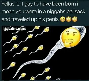 🇲 🇽 25+ Best Memes About Fellas Is It Gay Fellas Is It Gay M