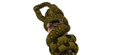 Anaconda attack 12 by SnakePerils on DeviantArt