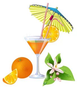 Summer Orange Cocktail PNG Clipart Orange cocktails, Funny c