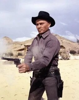 Chris in The Magnificent Seven Yul brynner, Western movies, 
