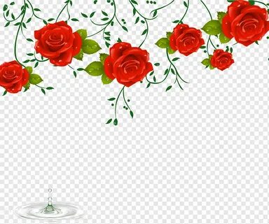 Simple painting hanging flowers, red rose, flowers, flower v