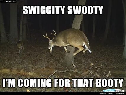 Swiggity swooty i'm coming for that booty. Deer. Deer huntin