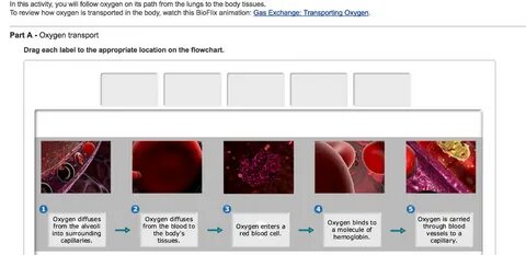 Drag The Labels Onto The Diagram To Identify Aspects Of Gas 