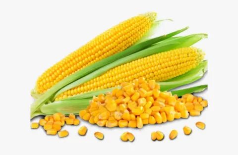 Corn Png Transparent Images - Maize Seeds, Png Download - ki